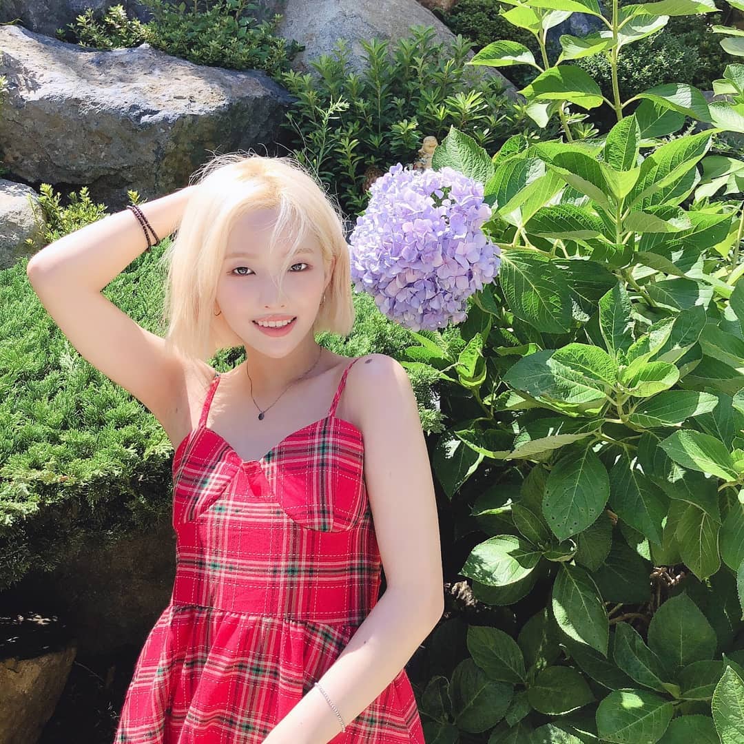 [新闻]190823 “海东龙宫寺