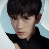 陈飞宇